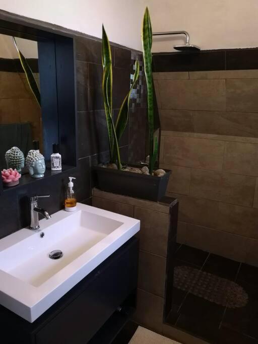 La Cabana 埃雷迪亚 外观 照片